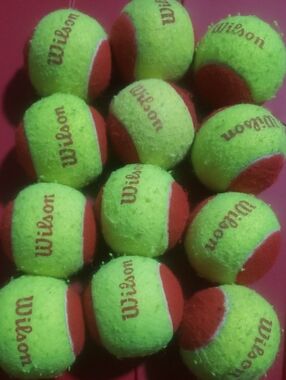 Wilson Red Balls